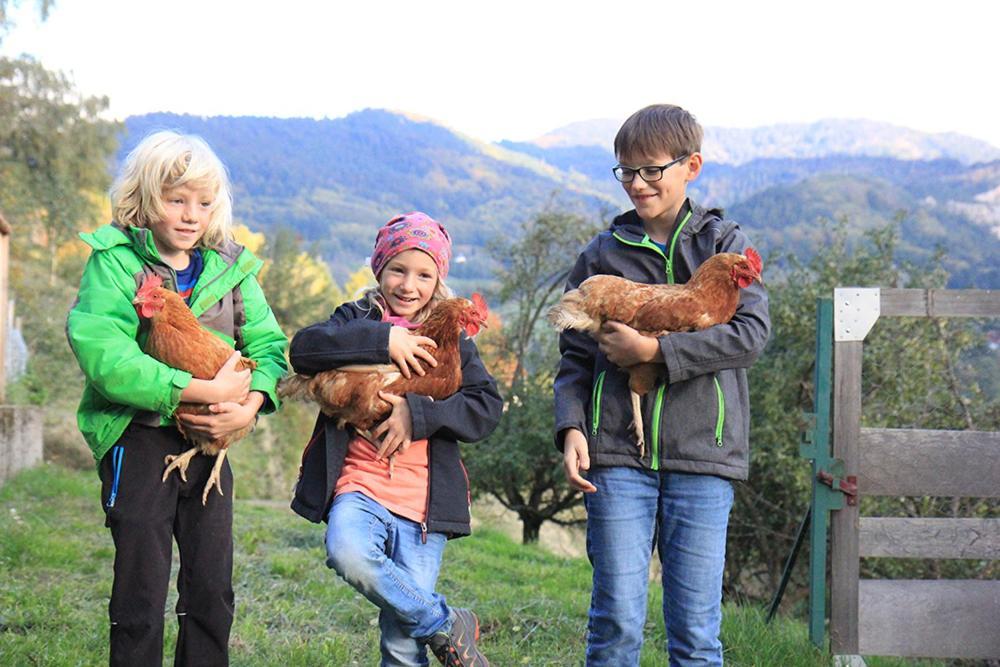 Huber Xaveri - Hof Ottenhöfen im Schwarzwald Exterior foto